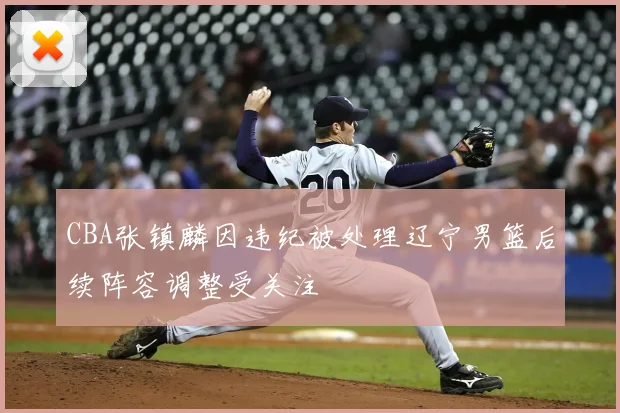 CBA张镇麟因违纪被处理辽宁男篮后续阵容调整受关注