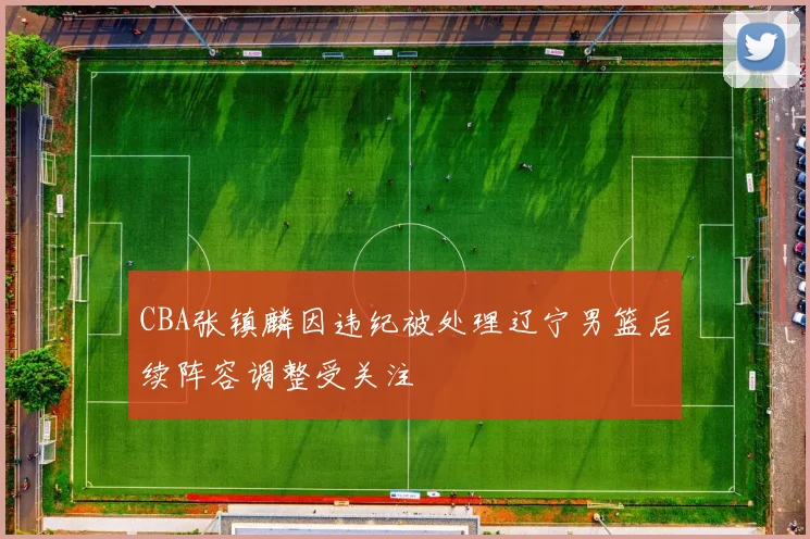 CBA张镇麟因违纪被处理辽宁男篮后续阵容调整受关注