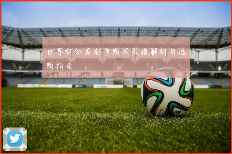 世界杯体育彩票购买渠道解析与选购指南