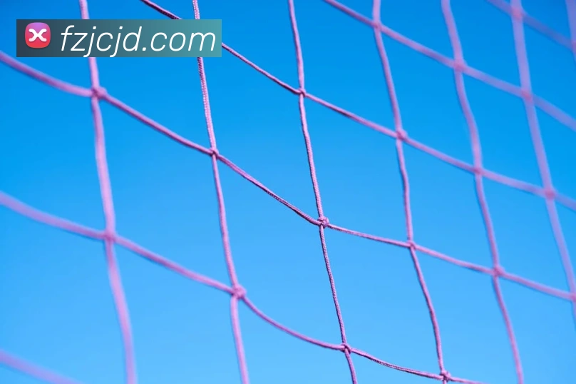 世界杯官网登录app品牌故事